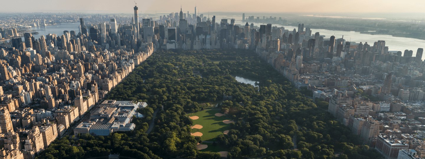 Veduta di New York e Central Park
